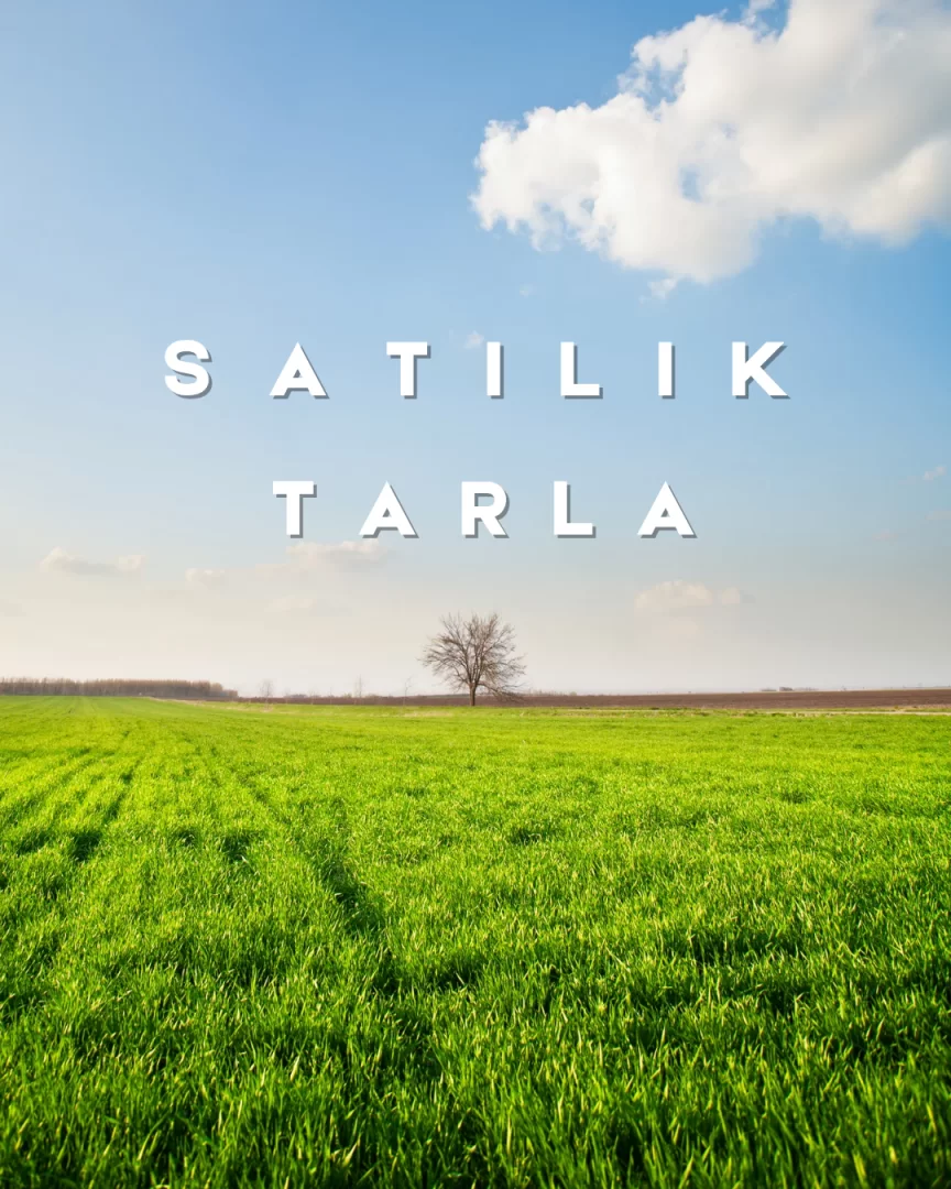YILDIZ GAYRİMENKUL'DEN ERENLER HASANBEY D100 YAKINI SATILIK TARLA